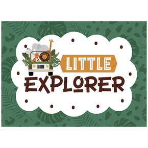 Little Explorer