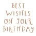 Best Wishes on Your Birthday Glimmer Hot Foil Plate (GLP-404) (OUTLET) Best Wishes on Your Birthday Glimmer Hot Foil Plate (GLP-404) (OUTLET)