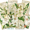 Decorer White Flower Mini Paper Pack (DECOR-M120) (OUTLET) Decorer White Flower Mini Paper Pack (DECOR-M120) (OUTLET)