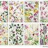 Decorer Meadow Mini Paper Pack (DECOR-M123) (OUTLET) Decorer Meadow Mini Paper Pack (DECOR-M123) (OUTLET)