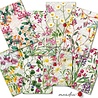 Decorer Meadow Mini Paper Pack (DECOR-M123) (OUTLET) Decorer Meadow Mini Paper Pack (DECOR-M123) (OUTLET)