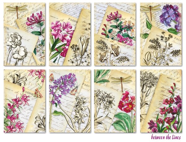 Decorer Between the Lines Mini Paper Pack (DECOR-M131) (OUTLET) Decorer Between the Lines Mini Paper Pack (DECOR-M131) (OUTLET)