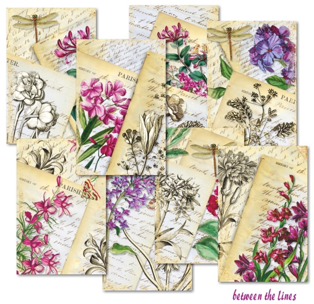 Decorer Between the Lines Mini Paper Pack (DECOR-M131) (OUTLET) Decorer Between the Lines Mini Paper Pack (DECOR-M131) (OUTLET)