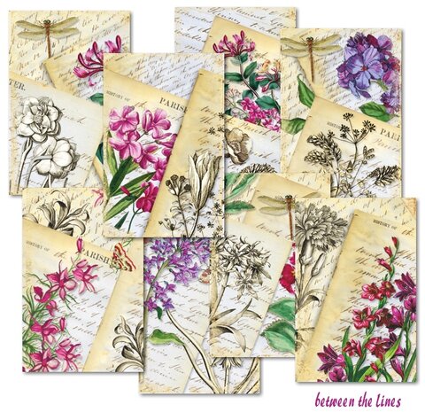 Decorer Between the Lines Mini Paper Pack (DECOR-M131) (OUTLET) Decorer Between the Lines Mini Paper Pack (DECOR-M131) (OUTLET)