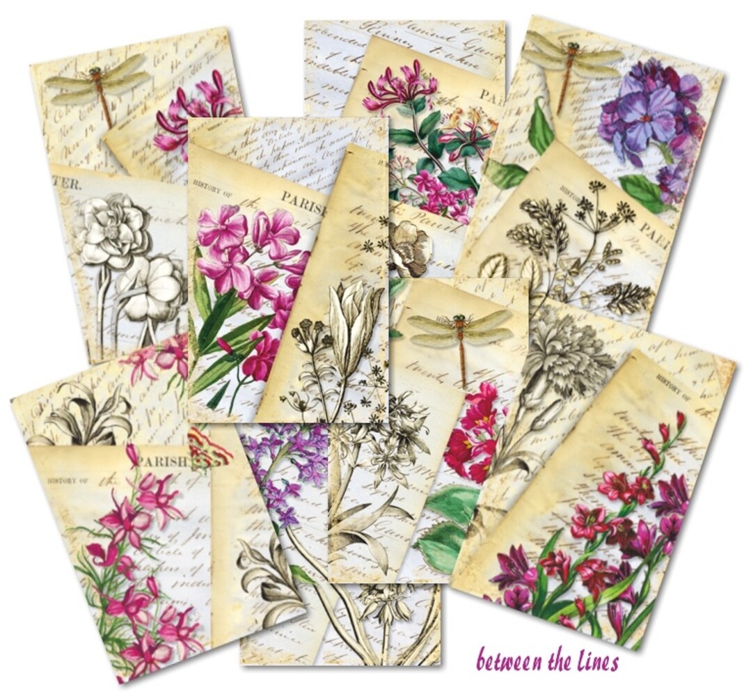 Decorer Between the Lines Mini Paper Pack (DECOR-M131) (OUTLET) Decorer Between the Lines Mini Paper Pack (DECOR-M131) (OUTLET)