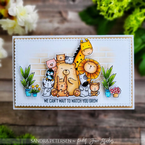 Picket Fence Studios Animal Crackers: Kind Messages 4x6 Inch Clear Stamps (AC-105) (OUTLET) Picket Fence Studios Animal Crackers: Kind Messages 4x6 Inch Clear Stamps (AC-105) (OUTLET)