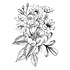 Pressed Bouquet Press Plate (BP-012) (DISCONTINUED)