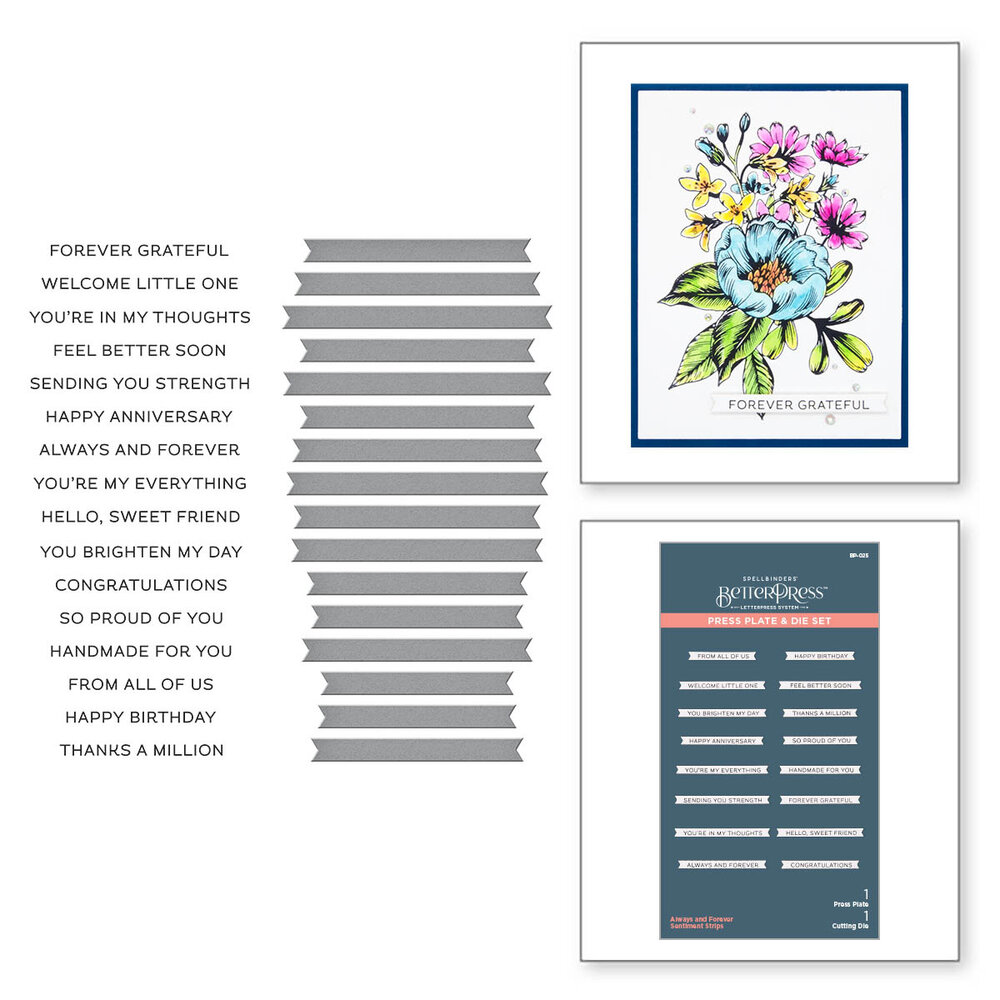 Spellbinders Always and Forever Sentiment Strips Press Plate & Die Set (BP-025) Spellbinders Always and Forever Sentiment Strips Press Plate & Die Set (BP-025)