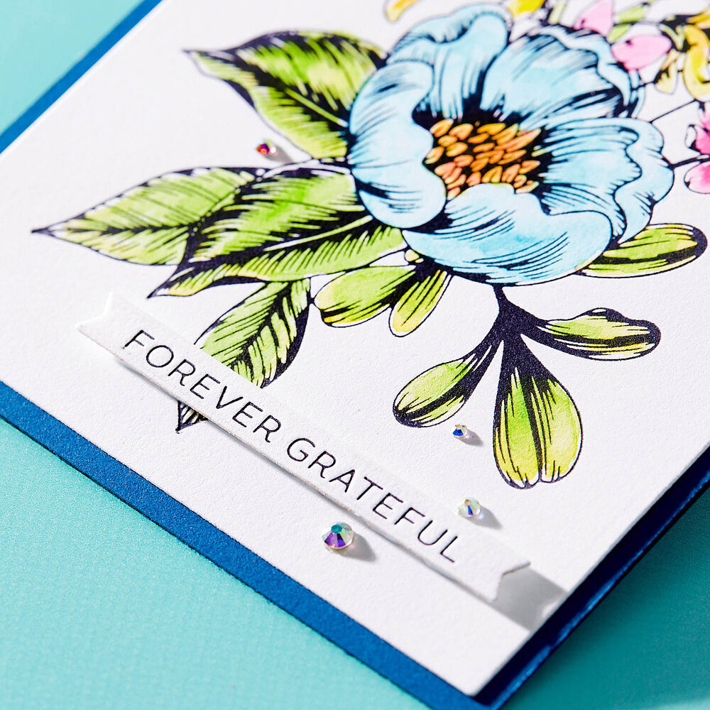 Spellbinders Always and Forever Sentiment Strips Press Plate & Die Set (BP-025) Spellbinders Always and Forever Sentiment Strips Press Plate & Die Set (BP-025)
