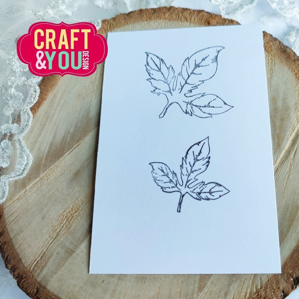 Craft & You Design Leaves Set Stamps (CS028) (DISCONTINUED)