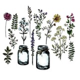 Sizzix Framelits Die by Tim Holtz Flower Jar (16pcs) (662270)