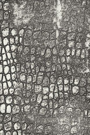 Sizzix 3D Texture Fades by Tim Holtz Reptile (666296) Sizzix 3D Texture Fades by Tim Holtz Reptile (666296)