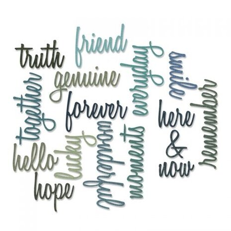 Sizzix Thinlits Die by Tim Holtz Friendship Words: Script (16pcs) (660225) (DISCONTINUED)
