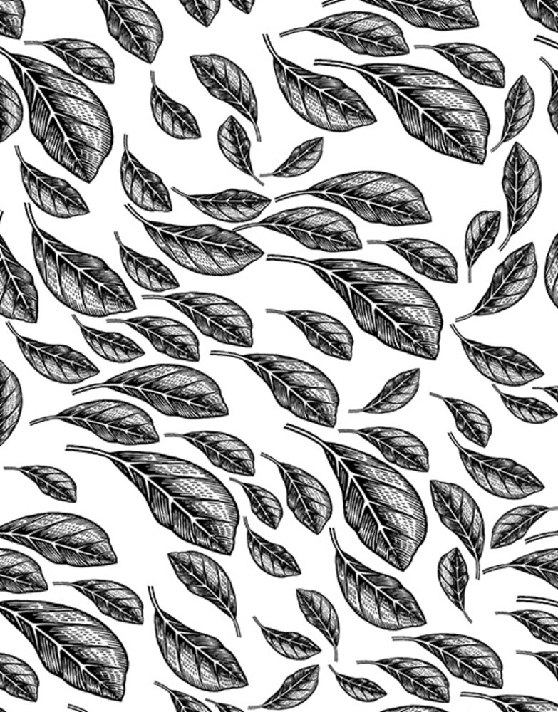 Picket Fence Studios Fabulous Foiling Toner Card Fronts Autumn Delight (12pcs) (FT-102) (OUTLET) Picket Fence Studios Fabulous Foiling Toner Card Fronts Autumn Delight (12pcs) (FT-102) (OUTLET)