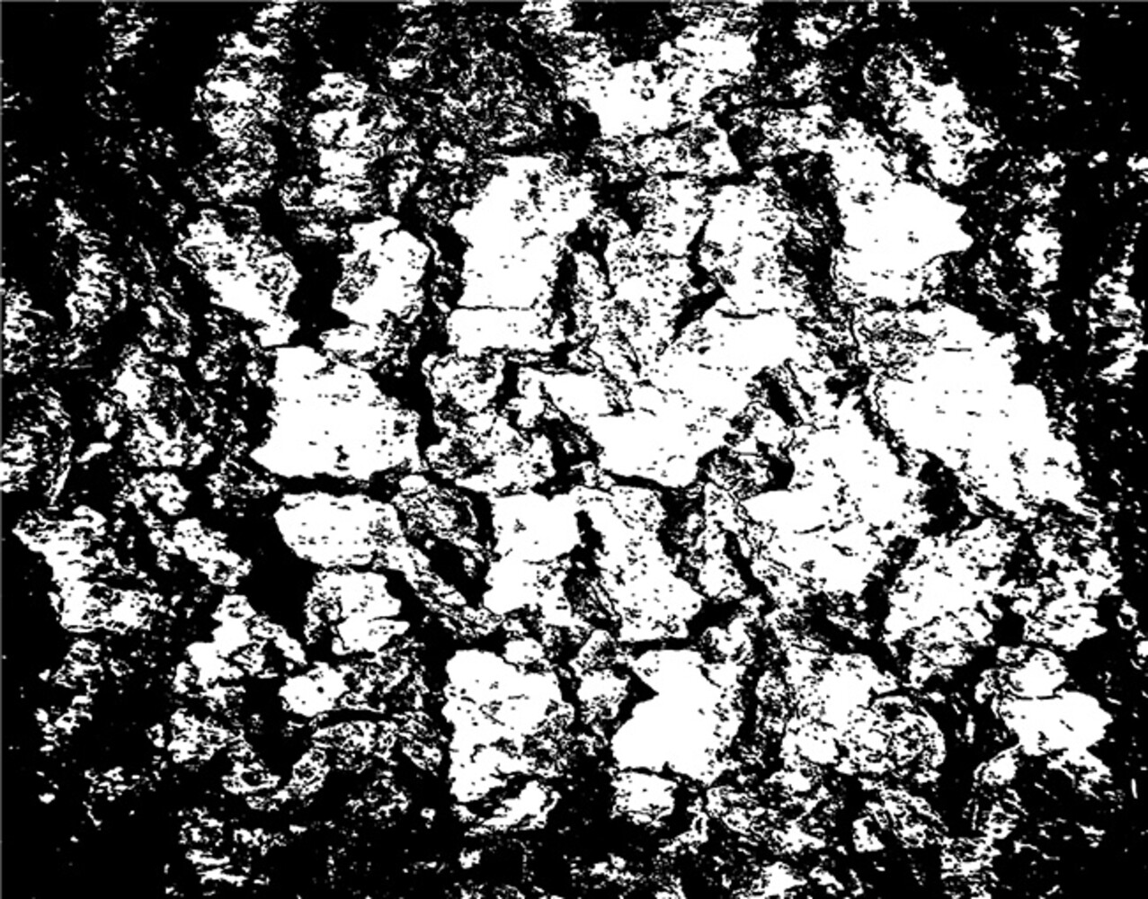 Picket Fence Studios Fabulous Foiling Toner Card Fronts Distressed Halloween (12pcs) (FT-101) (OUTLET)