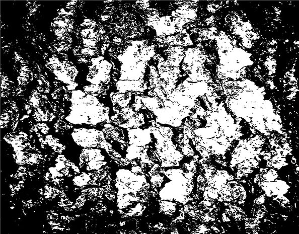 Picket Fence Studios Fabulous Foiling Toner Card Fronts Distressed Halloween (12pcs) (FT-101) (OUTLET)