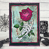 Woodware Bones & Rose Clear Stamps (JGS841) (OUTLET) Woodware Bones & Rose Clear Stamps (JGS841) (OUTLET)