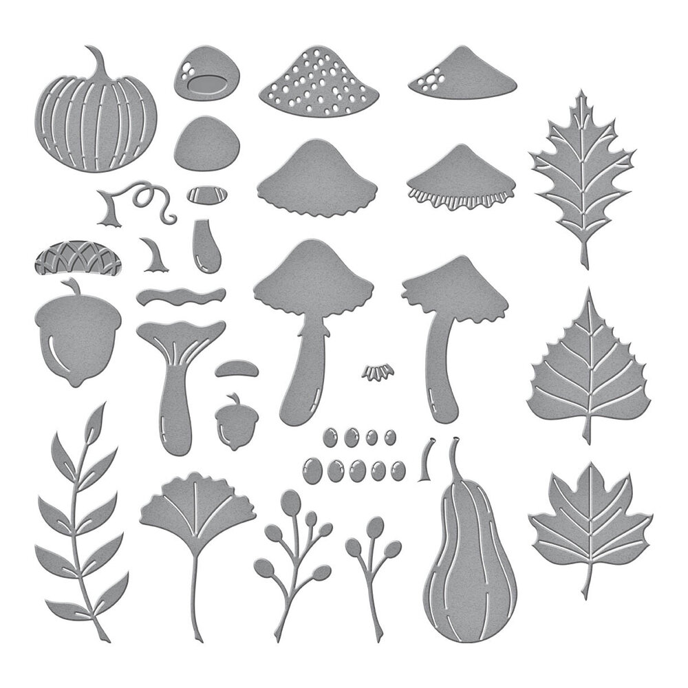 Spellbinders Autumn Wonder Etched Dies (S6-220) (DISCONTINUED) Spellbinders Autumn Wonder Etched Dies (S6-220) (DISCONTINUED)