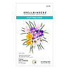 Spellbinders Crocus and Ladybugs Etched Dies (S2-375) (DISCONTINUED) Spellbinders Crocus and Ladybugs Etched Dies (S2-375) (DISCONTINUED)