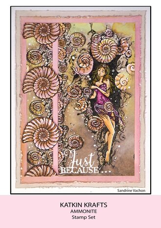 Katkin Krafts Ammonite A5 Clear Stamp Set (KK0026) (OUTLET)