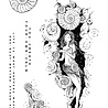 Katkin Krafts Ammonite A5 Clear Stamp Set (KK0026) (OUTLET) Katkin Krafts Ammonite A5 Clear Stamp Set (KK0026) (OUTLET)