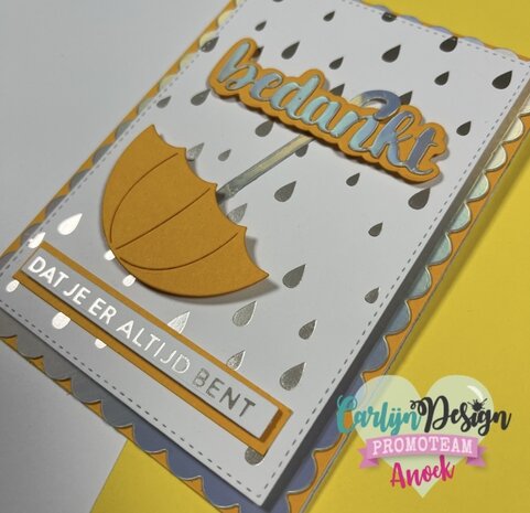 CarlijnDesign Hot Foil Plate Onderteksten Bedankt (CDHF-0036) CarlijnDesign Hot Foil Plate Onderteksten Bedankt (CDHF-0036)