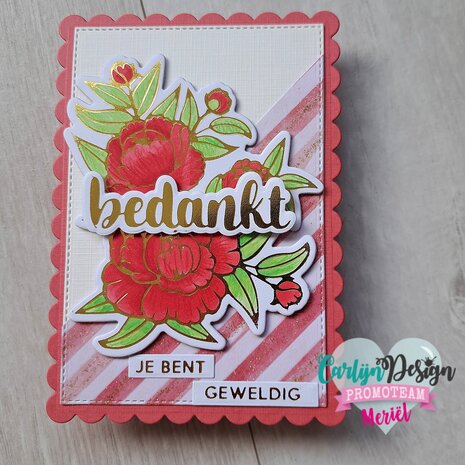 CarlijnDesign Hot Foil Onderteksten Bedankt (CDHF-0036) (DISCONTINUED) CarlijnDesign Hot Foil Onderteksten Bedankt (CDHF-0036) (DISCONTINUED)