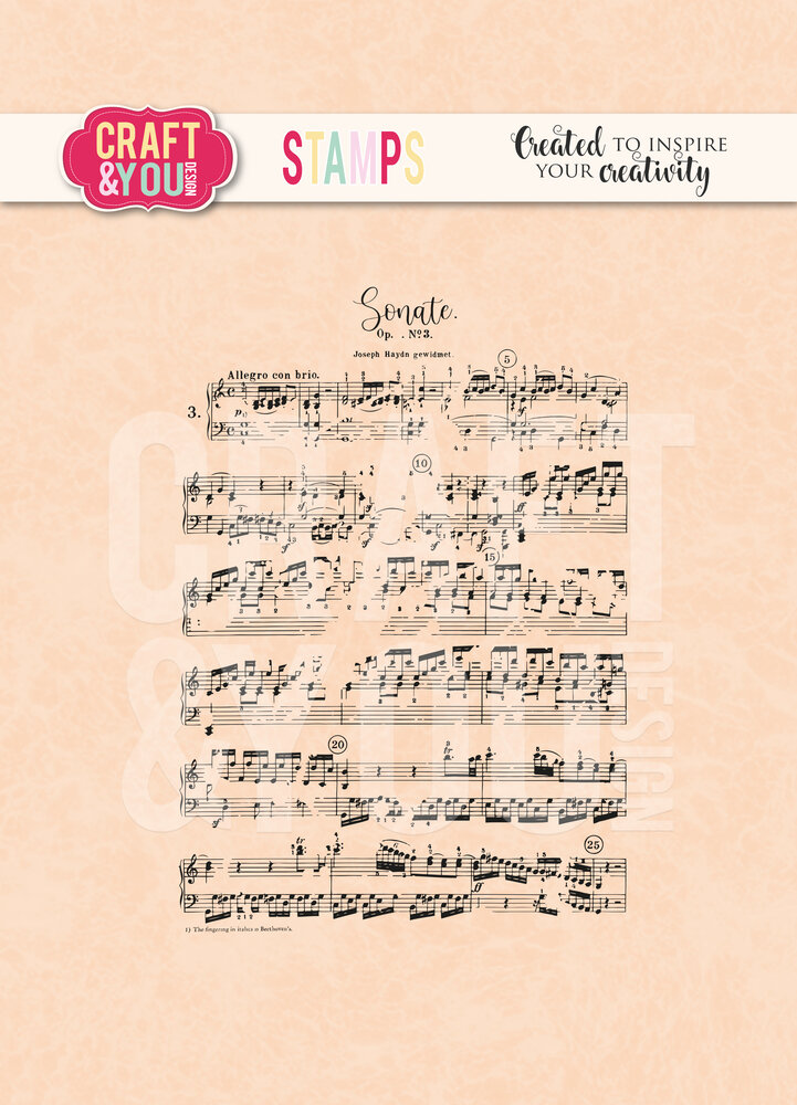 Craft & You Design Music Notes Stamps (CYD-CS032)