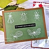 Woodware Bug Doodles Clear Stamps (JGS865) (OUTLET) Woodware Bug Doodles Clear Stamps (JGS865) (OUTLET)