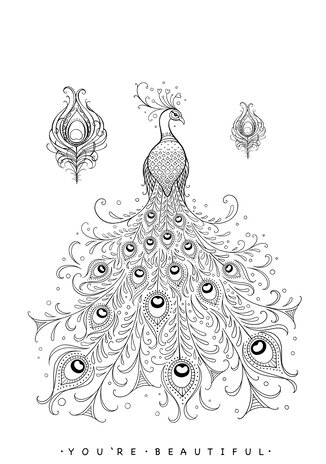 Katkin Krafts Picturesque Peacock A5 Clear Stamp Set (KK0034) (OUTLET) Katkin Krafts Picturesque Peacock A5 Clear Stamp Set (KK0034) (OUTLET)