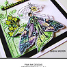 Katkin Krafts Sphinx A5 Clear Stamp Set (KK0030) (OUTLET) Katkin Krafts Sphinx A5 Clear Stamp Set (KK0030) (OUTLET)