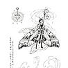 Katkin Krafts Sphinx A5 Clear Stamp Set (KK0030) (OUTLET) Katkin Krafts Sphinx A5 Clear Stamp Set (KK0030) (OUTLET)