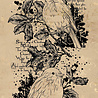 Studio Light Vintage Christmas Clear Stamp Robins on Holly (JMA-VC-STAMP545) (OUTLET) Studio Light Vintage Christmas Clear Stamp Robins on Holly (JMA-VC-STAMP545) (OUTLET)