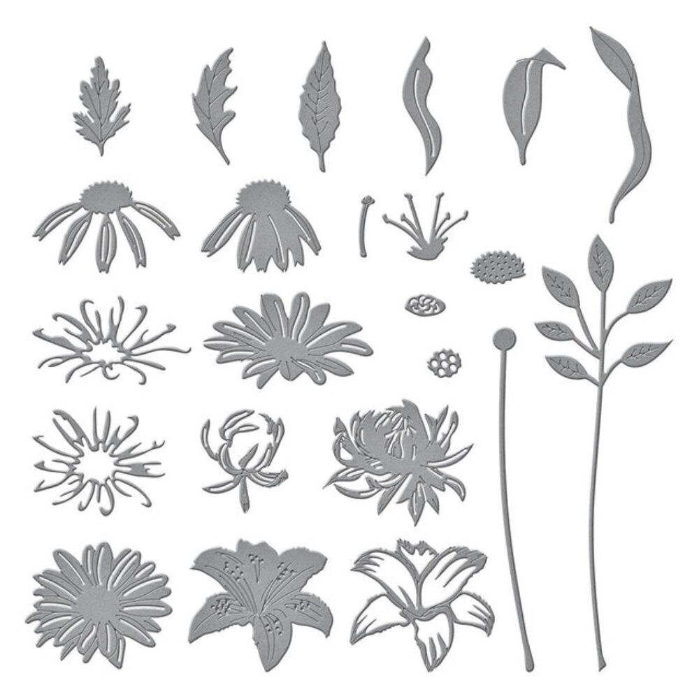 Spellbinders Floral Stems Etched Dies (S6-215)