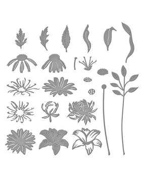 Spellbinders Floral Stems Etched Dies (S6-215)