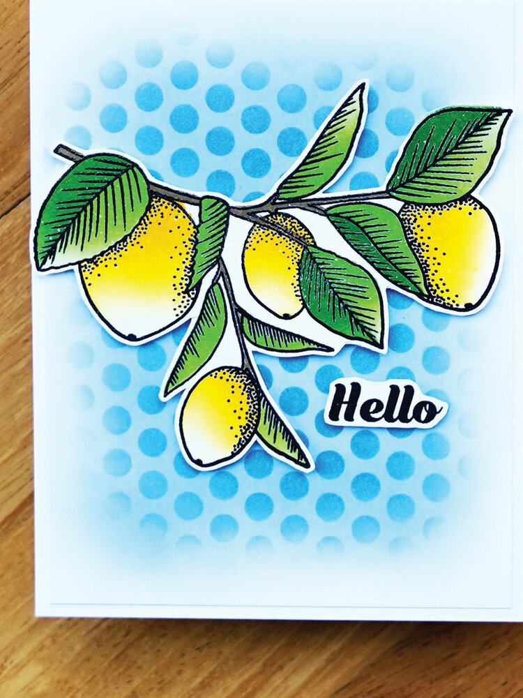 Ranger Simon Hurley create. Photopolymer Stamps 6x9 Inch Zesty (HUR78609) (DISCONTINUED) Ranger Simon Hurley create. Photopolymer Stamps 6x9 Inch Zesty (HUR78609) (DISCONTINUED)