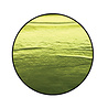 Ranger Ranger Liquid Pearls Succulent 0.5 fl oz (LPL70900) Ranger Ranger Liquid Pearls Succulent 0.5 fl oz (LPL70900)