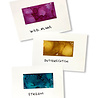Ranger Tim Holtz Alcohol Ink - Kit Nature Walk (TIM19787) Ranger Tim Holtz Alcohol Ink - Kit Nature Walk (TIM19787)