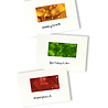 Ranger Tim Holtz Alcohol Ink - Kits Conservatory (TAK40859) Ranger Tim Holtz Alcohol Ink - Kits Conservatory (TAK40859)