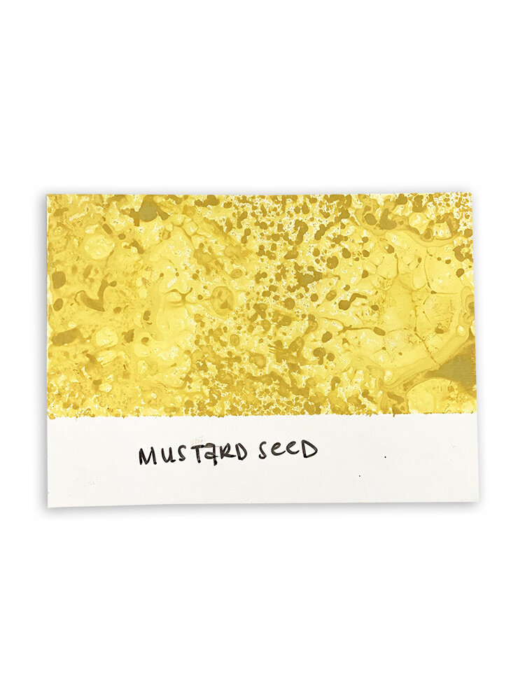 Ranger Tim Holtz Distress Spray Stain Mustard Seed 1.9 fl oz (TSS42358) Ranger Tim Holtz Distress Spray Stain Mustard Seed 1.9 fl oz (TSS42358)