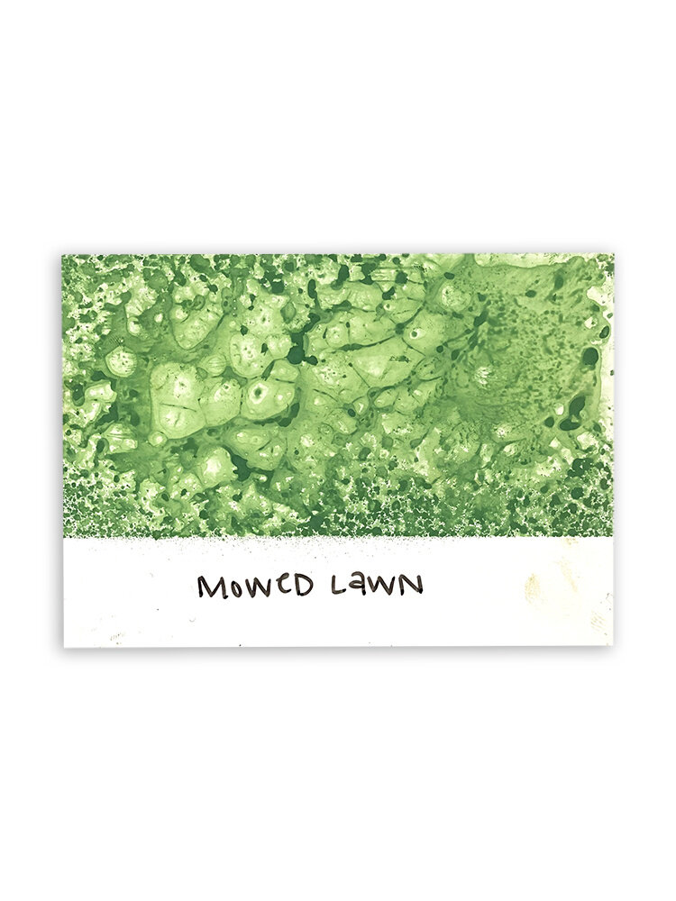 Ranger Tim Holtz Distress Spray Stain Mowed Lawn 1.9 fl oz (TSS42341) Ranger Tim Holtz Distress Spray Stain Mowed Lawn 1.9 fl oz (TSS42341)