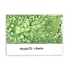 Ranger Tim Holtz Distress Spray Stains Mowed Lawn 1.9 fl oz (TSS42341) Ranger Tim Holtz Distress Spray Stains Mowed Lawn 1.9 fl oz (TSS42341)