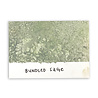 Ranger Tim Holtz Distress Spray Stains Bundled Sage 1.9 fl oz (TSS42204) Ranger Tim Holtz Distress Spray Stains Bundled Sage 1.9 fl oz (TSS42204)