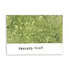 Ranger Tim Holtz Distress Spray Stains Crushed Olive 1.9 fl oz (TSS42228) Ranger Tim Holtz Distress Spray Stains Crushed Olive 1.9 fl oz (TSS42228)