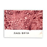 Ranger Tim Holtz Distress Spray Stains Fired Brick 1.9 fl oz (TSS42280) Ranger Tim Holtz Distress Spray Stains Fired Brick 1.9 fl oz (TSS42280)