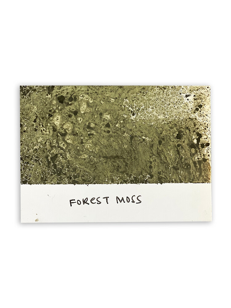 Ranger Tim Holtz Distress Spray Stain Forest Moss 1.9 fl oz (TSS42297) Ranger Tim Holtz Distress Spray Stain Forest Moss 1.9 fl oz (TSS42297)