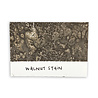 Ranger Tim Holtz Distress Spray Stain Walnut Stain 1.9 fl oz (TSS42600) Ranger Tim Holtz Distress Spray Stain Walnut Stain 1.9 fl oz (TSS42600)