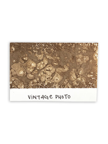 Ranger Tim Holtz Distress Spray Stain Vintage Photo 1.9 fl oz (TSS42594) Ranger Tim Holtz Distress Spray Stain Vintage Photo 1.9 fl oz (TSS42594)