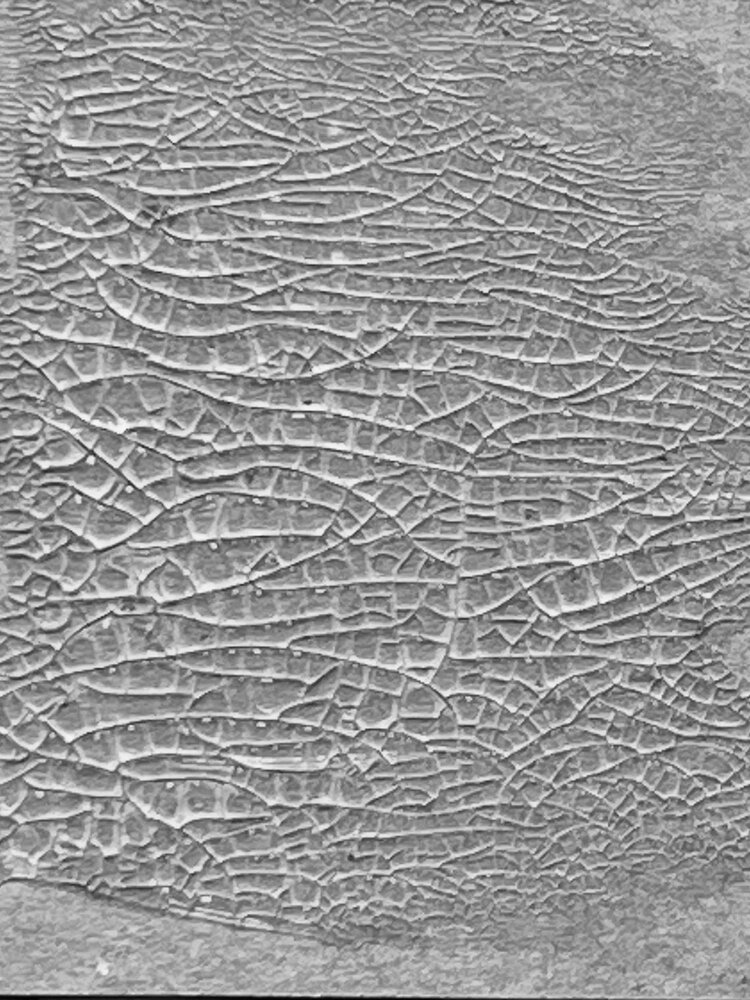 Ranger Tim Holtz Distress Crackle Paste Translucent 3 fl oz (TDA79651) Ranger Tim Holtz Distress Crackle Paste Translucent 3 fl oz (TDA79651)