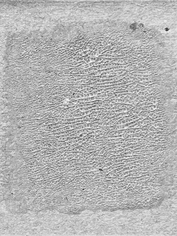 Ranger Tim Holtz Distress Crackle Paint Translucent 3 fl oz (TDC80411)